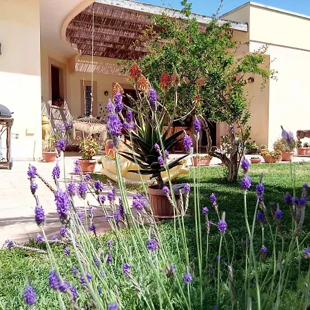 Corbezzoli E Callistemon Marina di Mancaversa