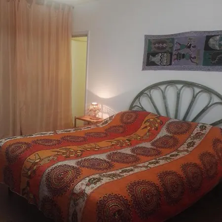 Corbezzoli E Callistemon Bed & Breakfast Marina di Mancaversa