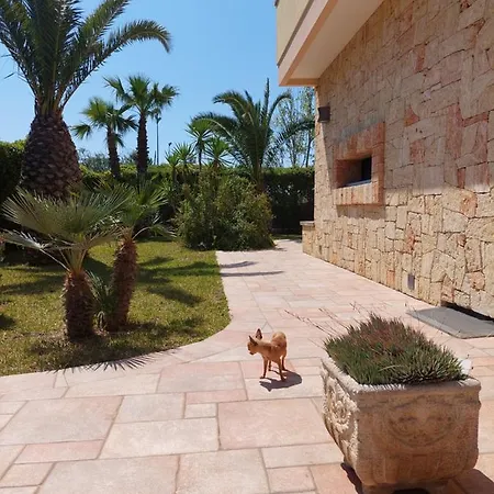 Corbezzoli E Callistemon Bed & Breakfast Marina di Mancaversa